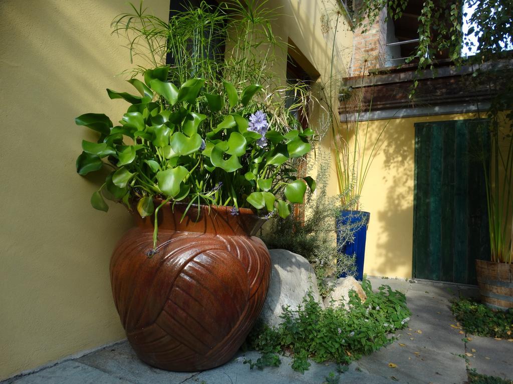 Agriturismo Casa De Colores Moretta Εξωτερικό φωτογραφία