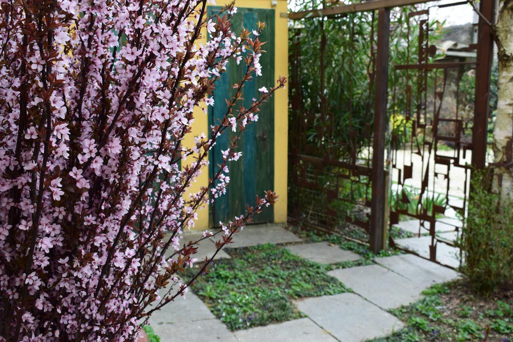 Agriturismo Casa De Colores Moretta Εξωτερικό φωτογραφία
